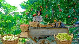 Harvest: White Eggplant, Cucumber, Red Plum, Taro Stem To Sell At The Market, Cook With Them, Garden