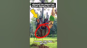 Amazing Tool Removes Trees Without Damaging the Roots!