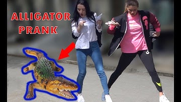 Remote Controlled ALLIGATOR PRANK 2019 - AWESOME REACTIONS - Best of Just For Laughs