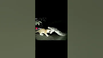 Https L Likee Video V 7UBWrS 