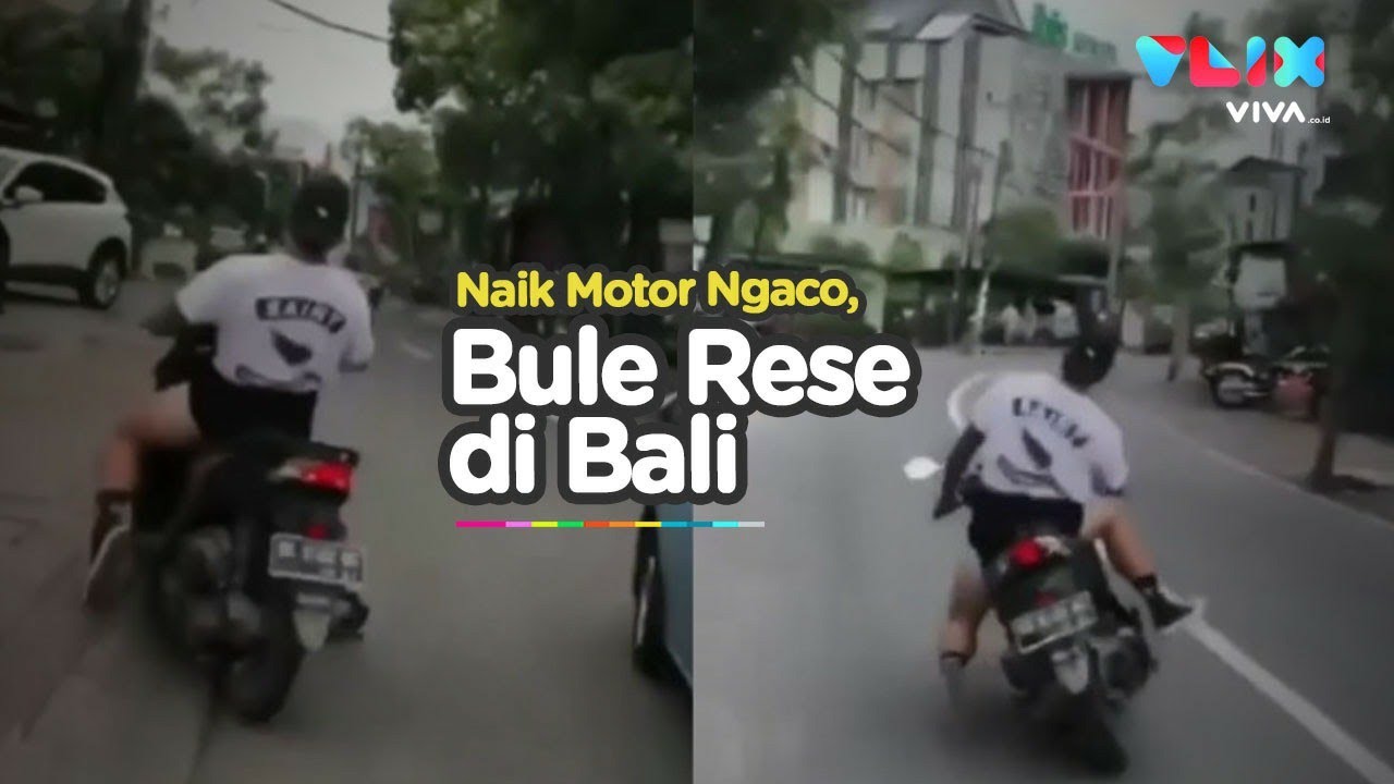 B0k3p bule