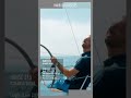 Hanse 315 | German-Designed Performance Cruiser Sailboat