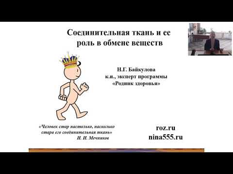 Соединительная ткань и ее роль в обмене веществ