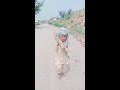 Beautiful and cute pathan child with  song