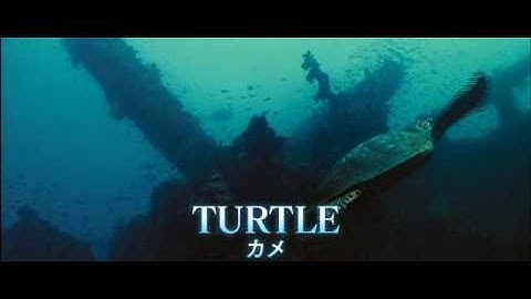 映画「オーシャンズ」面白映像　English講座　lesson 1