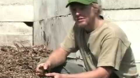 Mortality Composting Part 3