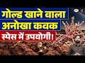Gold-Eating Fungus Discovered! | Fusarium Oxysporum &amp; Bio-Mining Explained | Drishti IAS