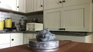 Thinking Putty Timelapse