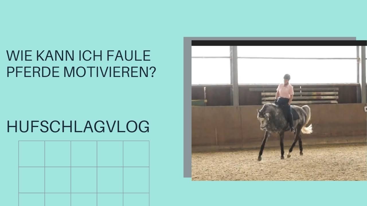 Wie kann ich faule Pferde motivieren?