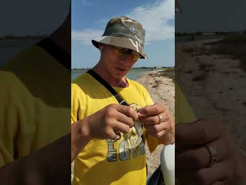 Моя коллекция ножей