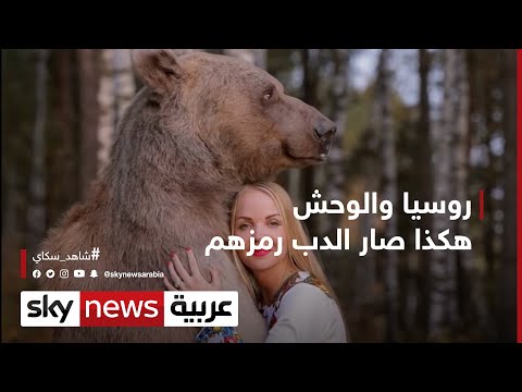 فيديو: ماذا يرمز الدب في سلتيك؟