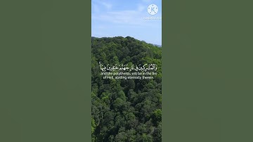 ما تيسر من سورة البينة القارئ يوسف المعمري