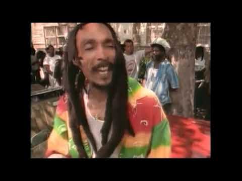 Putar Feelin' Irie - Israel Vibration