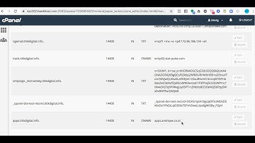 Setting Pointing Cname Di Cpanel