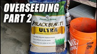 Jonathan Green Black Beauty Ultra Overseeding   PART 2