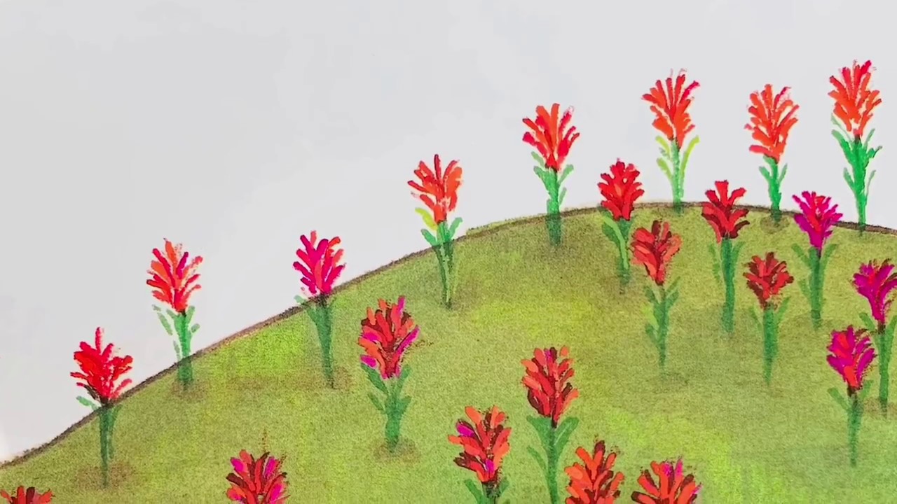 The Legend Of The Indian Paintbrush Widescreen YouTube the-legend-of-the-indian-paintbrush-widescreen-youtube