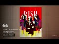 Pop Art WPAP-Poster von Rush