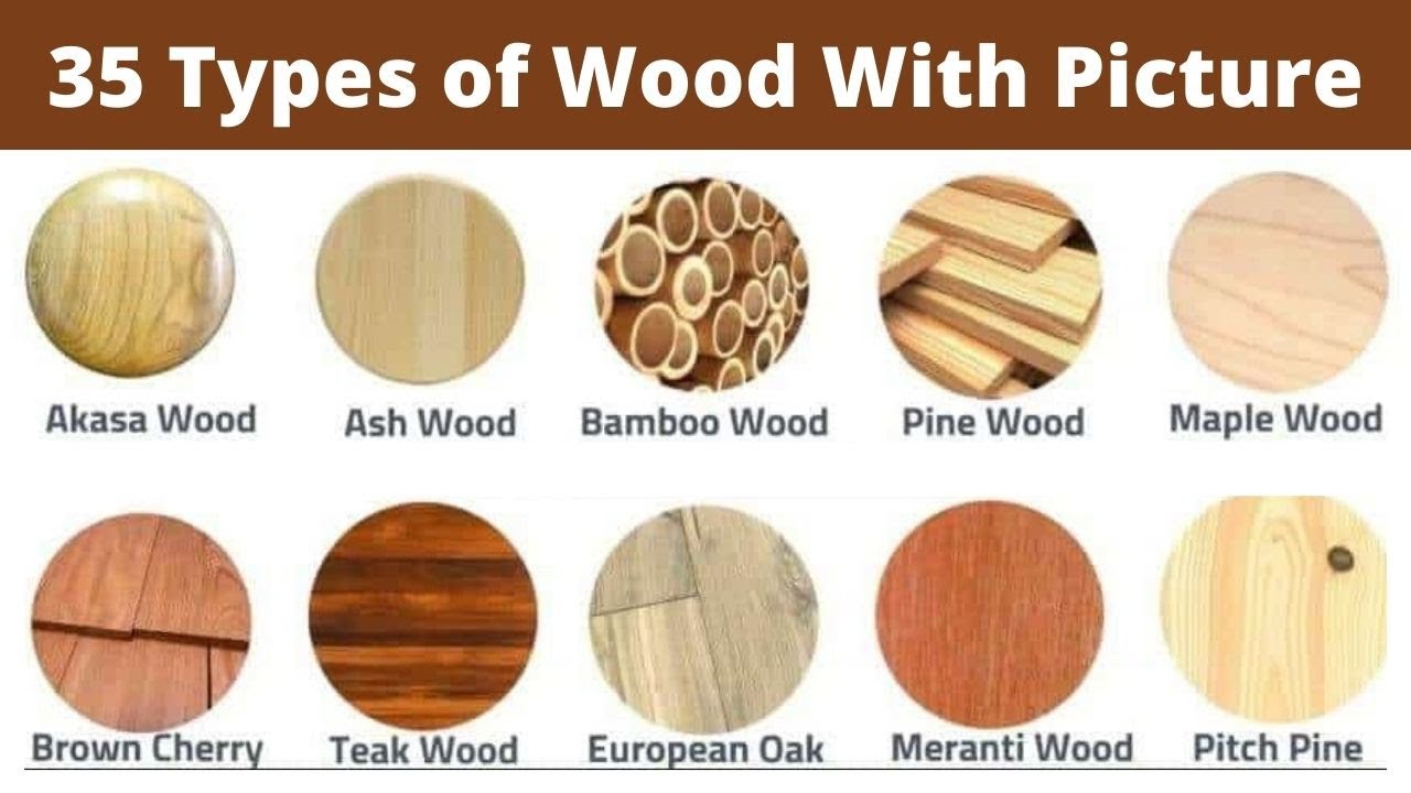 Types of Wood Species for Woodworking