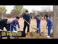 《新闻联播》 习近平在参加首都义务植树活动时强调 发扬中华民族爱树植树护树好传统 推动国土绿化不断取得实实在在的成效 20190408 | CCTV