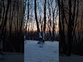 Relax Sounds Of Nature Winter Звуки природи Зима