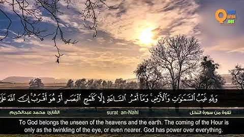 تلاوة للقارئ محمد عبدالكريم من سورة النحل