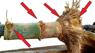 bubut bambu mistis.....mystical bamboo lathe