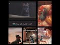 الفار الطابخ كامل مدبلج بالعربى لازم تبقى مبتكر روحك هى اللى بتلهمك