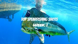 Best Spearfishing Shots - Episode 1
