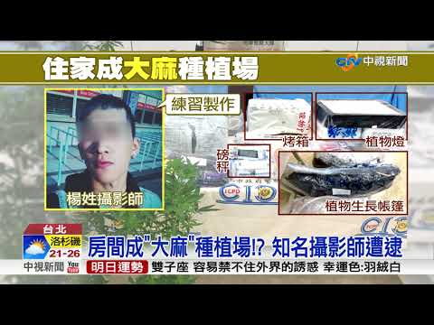 天團MV攝影師惹"麻"煩 衣櫃"種滿大麻"│中視新聞 20180816
