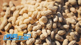 秋花生上市🥜解锁花生的多彩世界🌈探索花生入菜的创意新花样🔍「消费主张」 20241217 | 财经风云