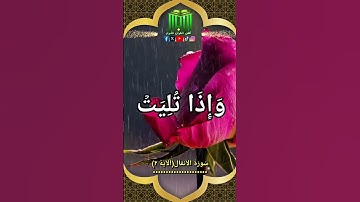 آيَاتٌ مُختَارَةٌ مِن الذِّكْرِ الحَكِيمِ سُورَةُ الأنفَال(الآية ٢)#أهل_القرآن_الأبرار
