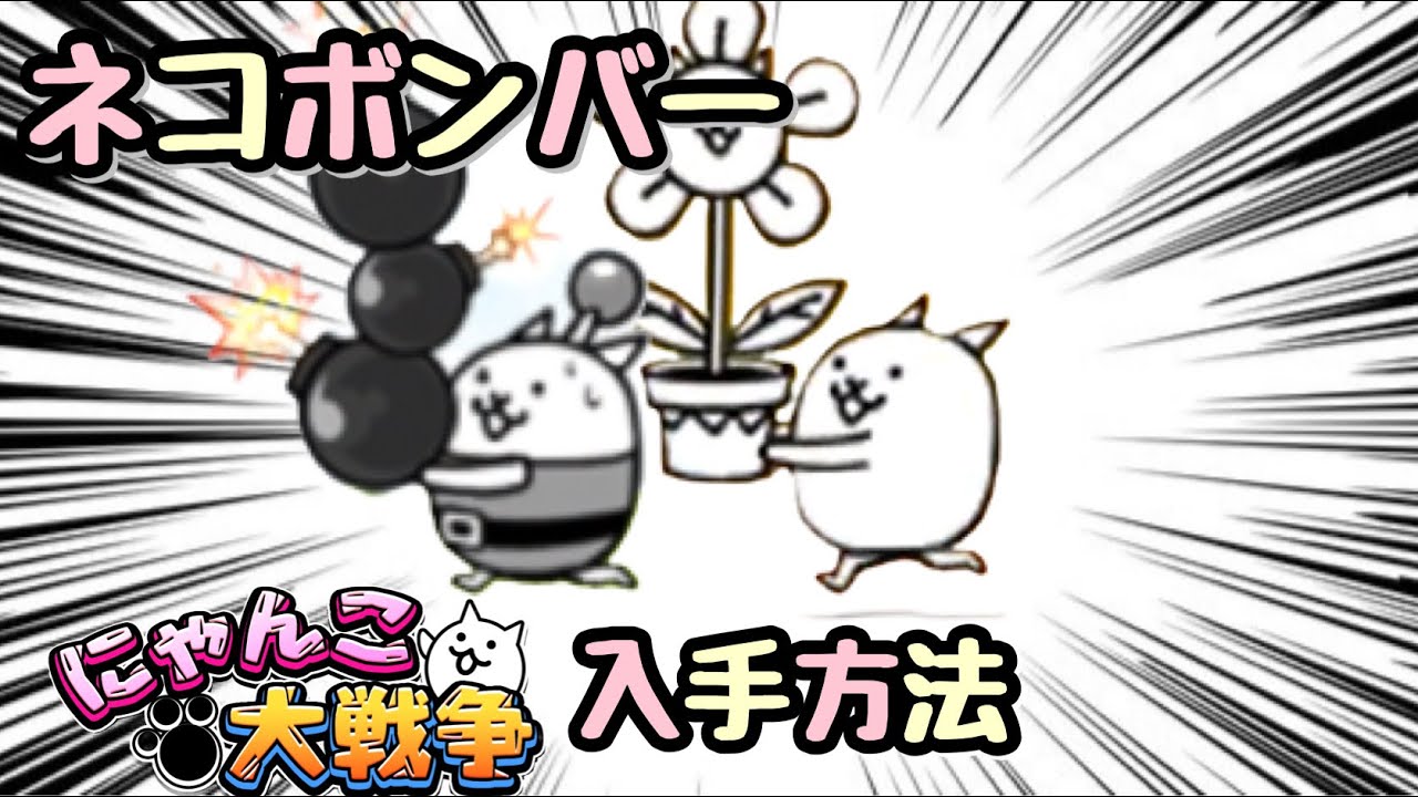 ネコ ボンバー