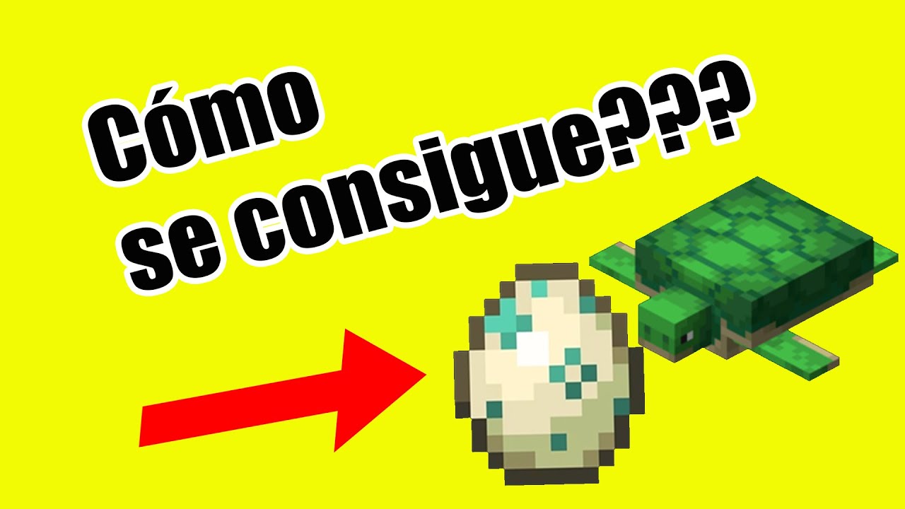 Como Hacer Eclosionar Un Huevo De Tortuga En Minecraft