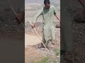 الیاس غازی ڈنڈے کو توڑنے والی ویڈیو بلوچ بلوچستان