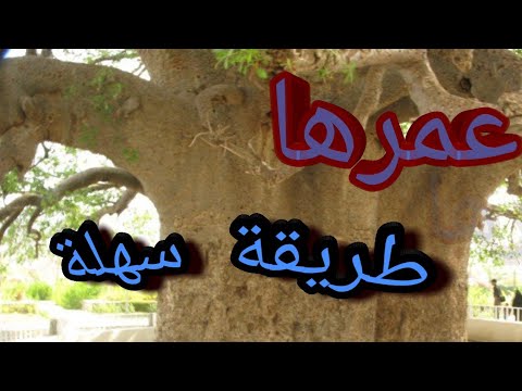 فيديو: كم من الوقت تعيش الأشجار - تعرف على متوسط عمر الأشجار