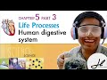 HUMAN DIGESTIVE SYSTEM | Ch5 Life Processes | part 3 |