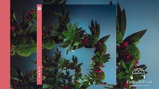 Switch - Better View