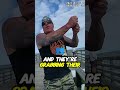 Young Surfer ATTACKED by 3 Fishermen #surfers #bodycam #fisherman #cops