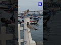 ILO HERMOSO PUERTO  TURISTICO PARA VISITAR  EN ESTA SEMANA SANTA