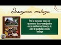 Un día con mi amigo extranjero | Spanish Presentation FT2