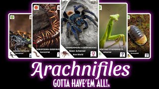Archnifiles app review
