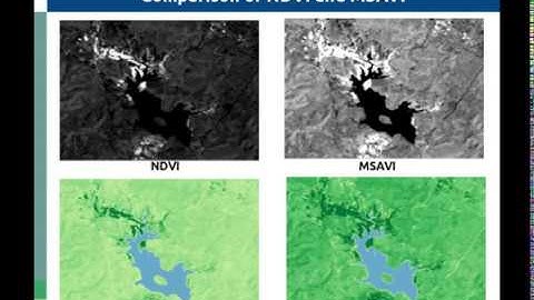 MSAVI - Modified Soil-Adjusted Vegetation Index