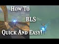 Quick And Easy BLS / BLSS Tutorial