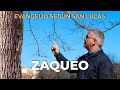 XXI. ZAQUEO | Evangelio según san Lucas