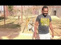 Bengal tiger malika with white tiger bony shifted asif shero wala