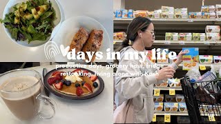 days in my life: restocking & cleaning our fridge, productive days, errands, grocery haul