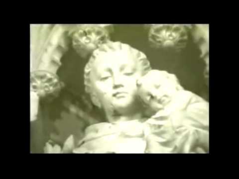 The Swan Song Video