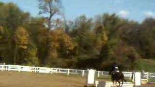 Schooling Hunters Course 2
