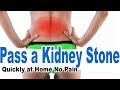 How to Pass Kidney Stones Quickly at Home  97% of People Dont 