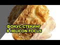 Фокус стекинг (Focus stacking) в программе HeliconFocus